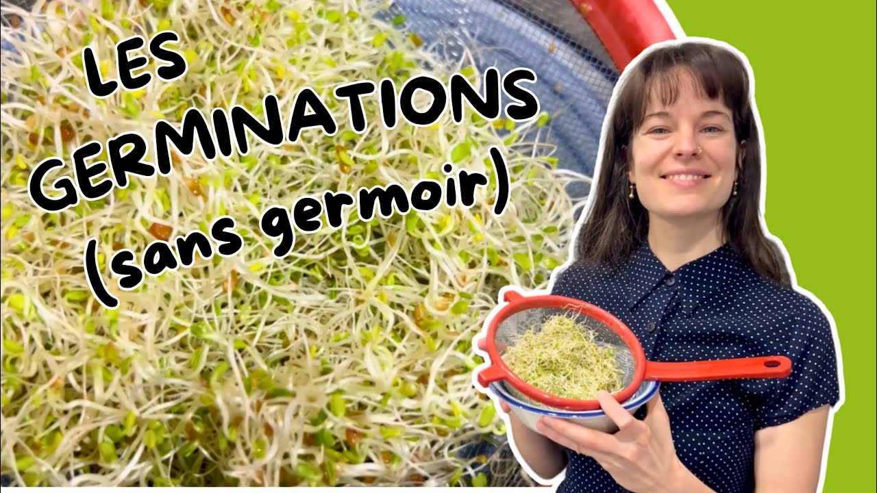Comment faire ses GERMINATIONS SANS GERMOIR ?