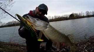 Savage Gear 4D PIKE SHAD 20 cm 65 g