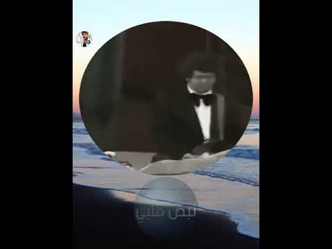 تعالى شوف