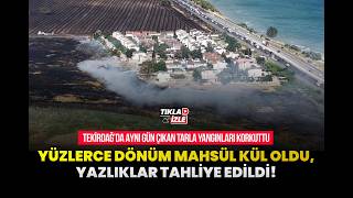 Tekirdağda Korkutan Tarla Yangınları: Konteyner Evler Yandı, Yazlıklar Tahliye Edildi