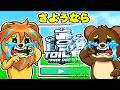 最後のアップデートが来たトイレットタワーディフェンス....💧【 Roblox Toilet Tower Defense 】