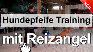 Dog Training - Dog Whistle Training with a Flirt Pole screenshot 4