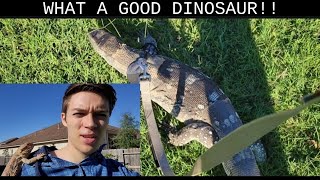 BRINGING MY PET LIZARDS FOR A WALK (+how to make a harness)
