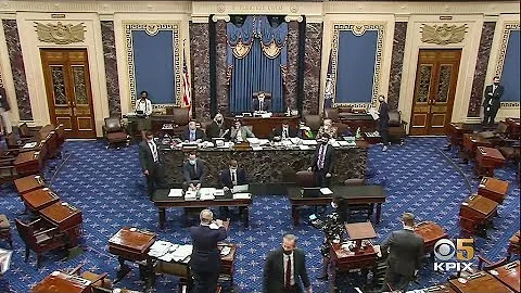 U.S. Senate Democrats Pass Biden's $1.9 Billion COVID Relief Bill