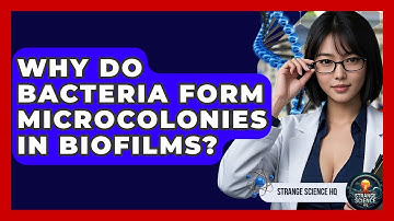 Why Do Bacteria Form Microcolonies In Biofilms? - Strange Science HQ
