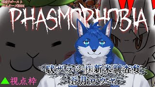 【Phasmophobia】新人は生き残ることができるのでしょうか！！？ #034 -駄ザラシ視点
