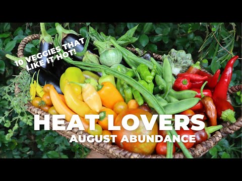 וִידֵאוֹ: גינון ירקות דרום - למד על ירקות אוהבי חום