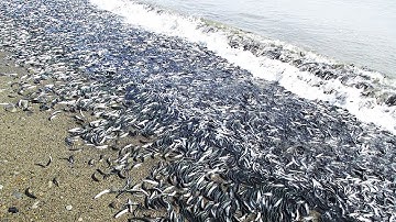 10 Most Unique Natural Phenomena In The World