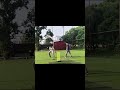TURF ME BHI CHOD🏏 || Prajapat Hi Khde 😈 || #shortsviral #trending #cricket #shorts #funny