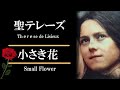 【リジューの聖テレーズ】最も愛されている聖女のひとり 小さき花 幼きイエスの聖テレジア カトリック関口教会