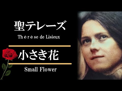 【リジューの聖テレーズ】最も愛されている聖女のひとり 小さき花 幼きイエスの聖テレジア カトリック関口教会