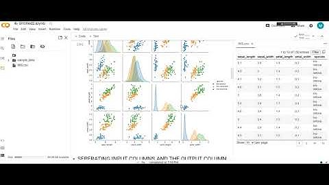 IRIS Flower classification Task-1