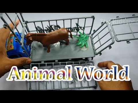 Video: Kuda Coklat Kemerah-merahan - Sifat Obat, Indikasi Untuk Digunakan