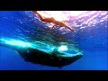 Nora en Pure - Diving With Whales (Daniel Portman Remix)