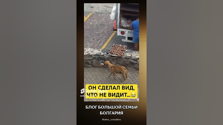 Этот взгляд вконце,а он вон кормящая😭💔#собаки #собака #люди #добро #доброта #спасение #чудо #пес