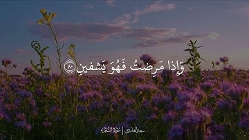 سورة الشعراء(٦٩-٨٩) | سعد الغامدي