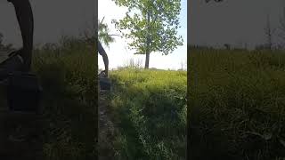 Pesca arroyo grande Mendoza