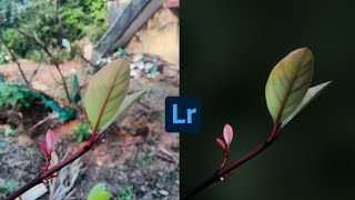 How To Edit Photos In Lightroom || Lightroom Presets Download || Lightroom Photo Editing 2020 screenshot 4
