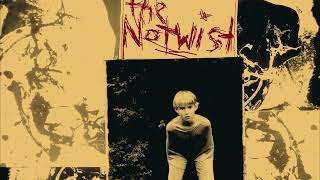 B3 the Notwist – I&#39;ve Not Forgotten You [Vinyl] HQ Audio