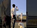 パートナーを綺麗に撮る方法　#shorts