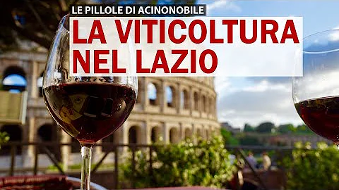 Quante viti ci sono in Italia?