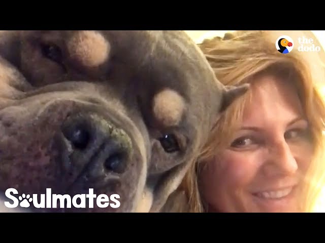 This Womans Addiction Is Her Dog - PUDGE | The Dodo Soulmates
