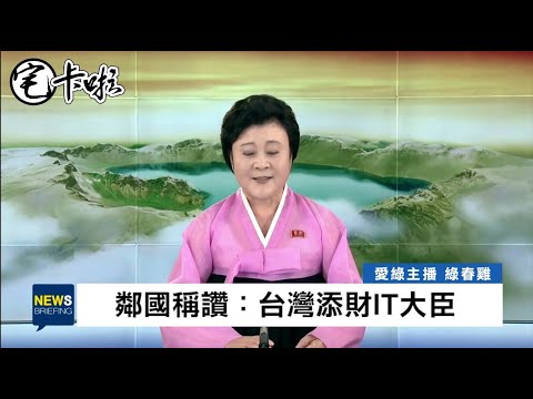 北韓李春姬加入歌頌唐鳳的行列！