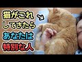 【あなたが大好き】猫が好きな人にしか見せない特別な行動