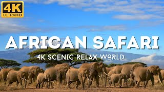 African Safari 4K -  Scenic creation of nature Film With African Music for relaxation