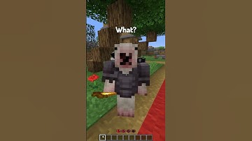 Best Types of Players on a Minecraft Server