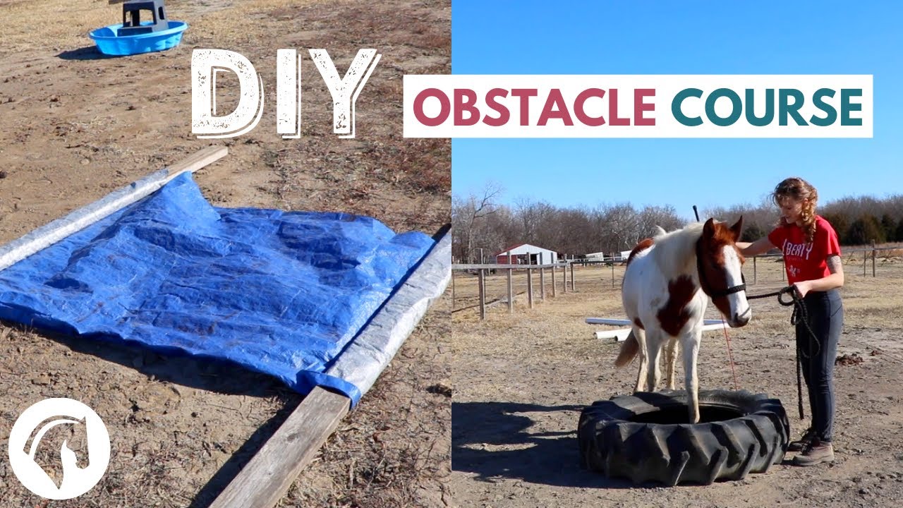 Simple DIY Horse Obstacle Course YouTube