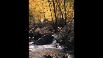 ايات بينات من سورة غافر