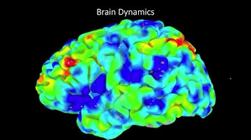 "Brain dynamics and flexible behaviors: Insights from network neuroscience" Talk by Dr.Lucina Q