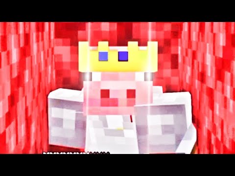 TECHNOBLADE NEVER DIES in DreamSMP