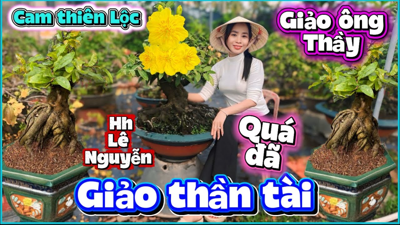 💥 28/2 ☎️0378898338 - GẶP CHỊ TRÂM ☎️giảo ông thầy-cam thiên Lộc-giảo thần tài-hh lê Nguyễn 