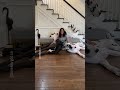 How many pets do you have?