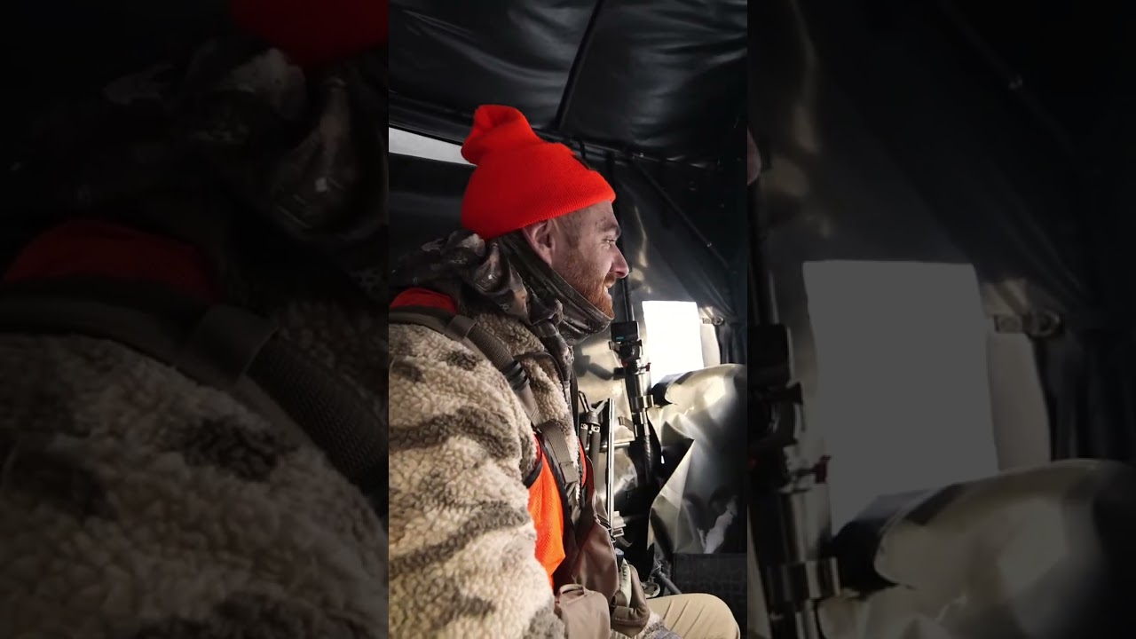 Deer Acted CRAZY While We Were Switching Spots! #shorts