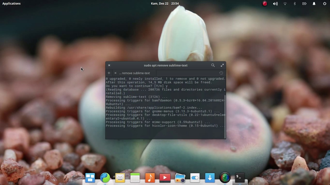 sublime uninstall package sublime uninstall package