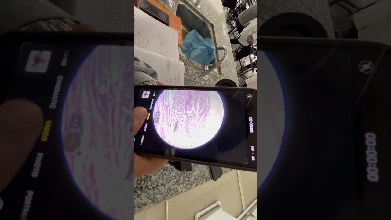 Histology Lab | 1st year MBBS | DRGMC