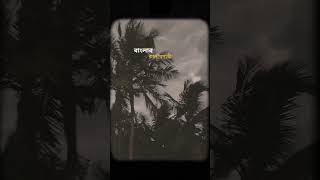 . . #youtubeshorts #nature #sad #rain #banglashorts