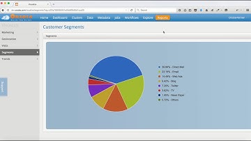 Reports and Visualization Demo