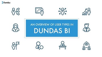 An Overview of User Types in Dundas BI
