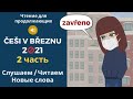 Читаем текст на чешском для продолжающих | 2 часть | Новые слова | Глаголы с SE на примерах