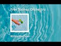 Free Salinas Orchestra - Within The Tides (Original Mix)