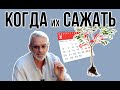 Когда осенью сажать саженцы / Сроки осенней посадки / Игорь Билевич