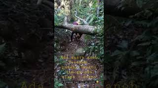 Mau Bingung tapi ini Gn.Salak ( Suara Misterius )