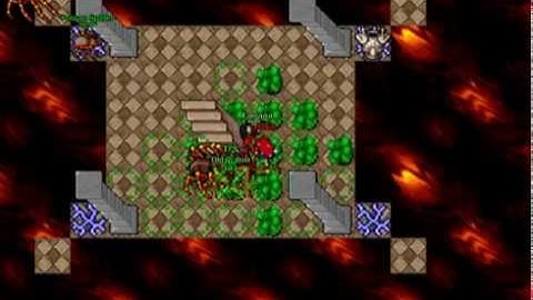 Tibiafun-Solo Old Widow