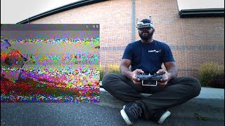 DJI FPV vs Analog PT2 // 25mw / Tuesday Vlog