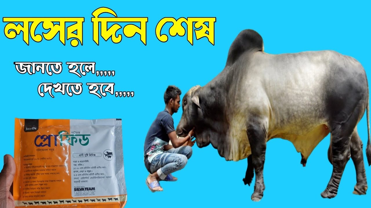 Vaginal mushaklarni mashq qilish: chokish Yalangoch semiz ayollar va erkaklar