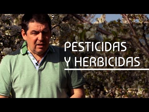 Video: ¿Se considera un herbicida un pesticida?